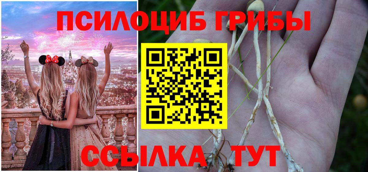 Галлюциногенные грибы прущие грибы  Вход с VPN  Галлюциногенные грибы GOLDEN TEACHER  Гусев 